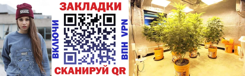 Купить Конопля  Псилоцибиновые грибы  Кокаин  ГАШ  Мефедрон  Сусуман