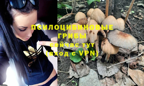 ALPHA PVP Каменск-Шахтинский