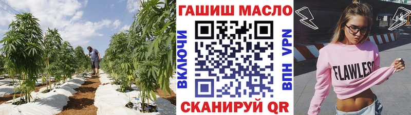 Купить  Сусуман  Дистиллят ТГК концентрат 